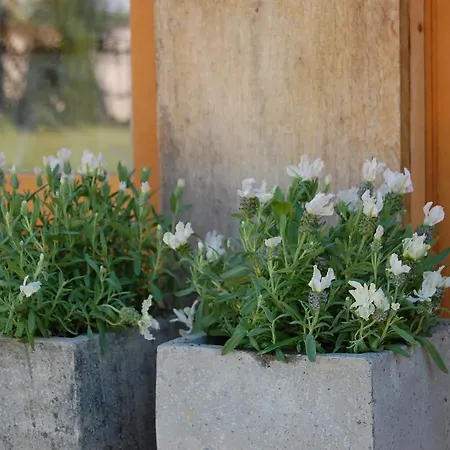 La Belle Lavande, D לינה וארוחת בוקר *