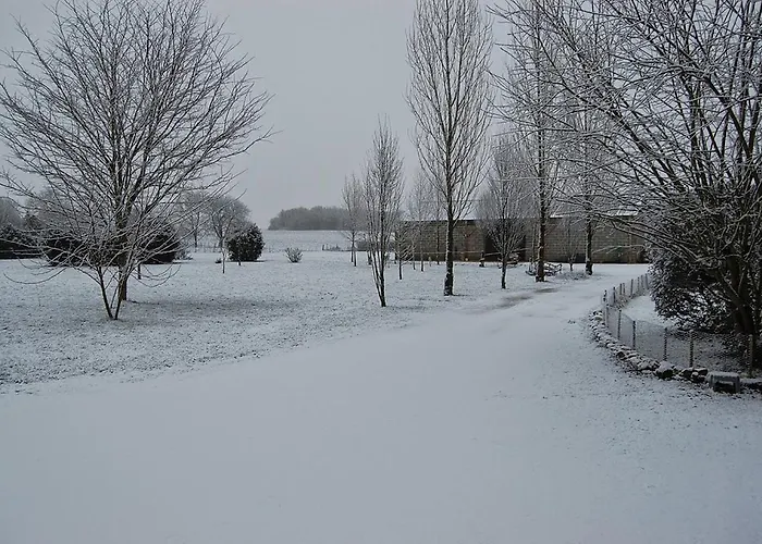 La Belle Lavande, D * Chenommet