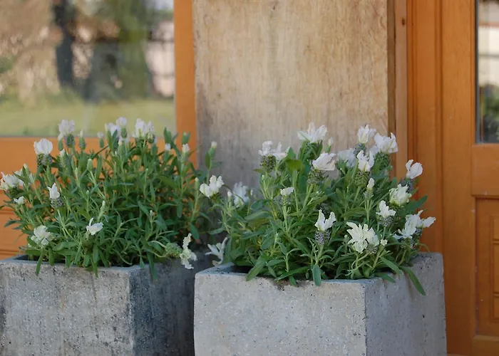 La Belle Lavande, D فندق مبيت وإفطار *